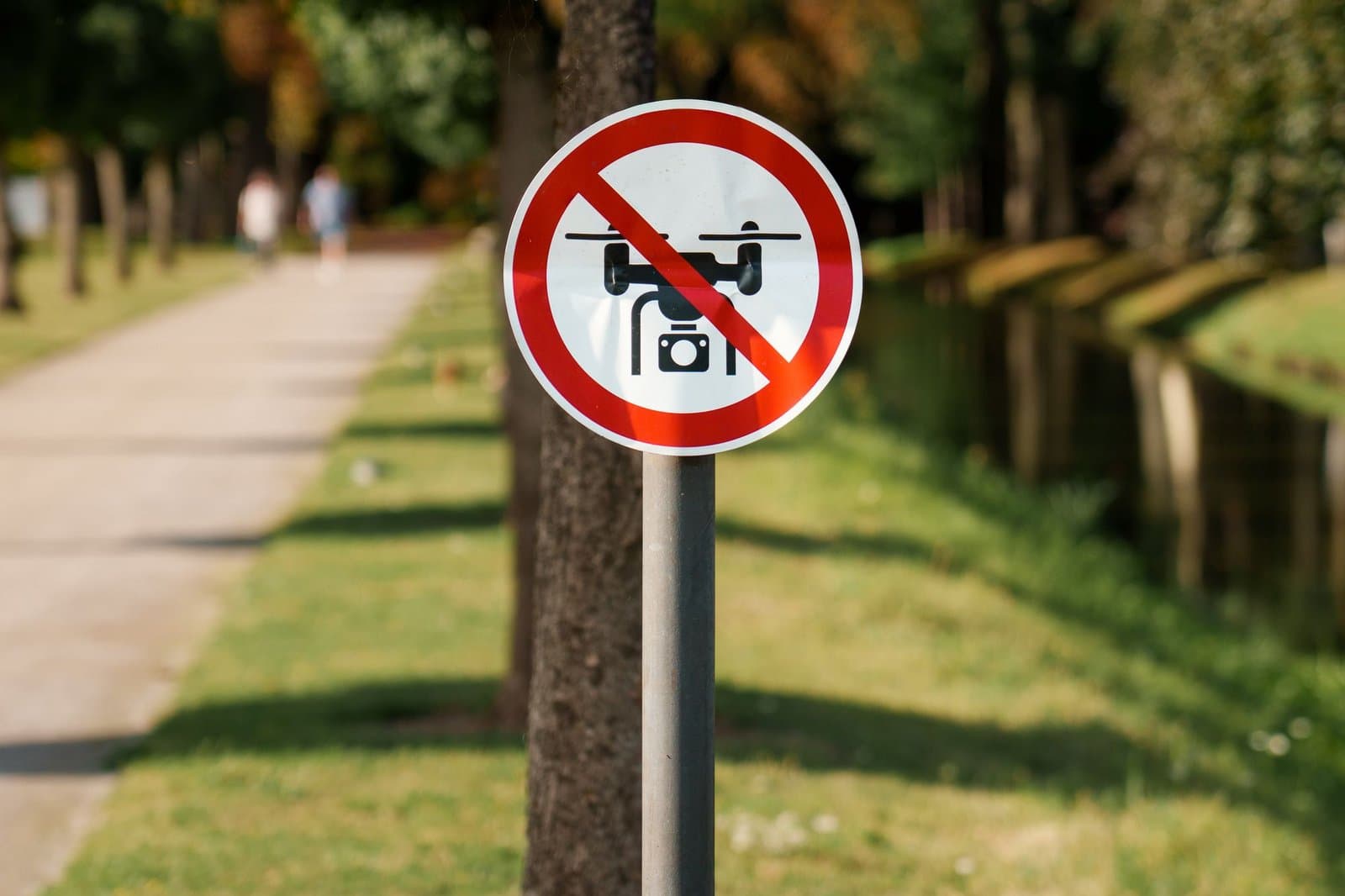 A no-drone sign beside a park path