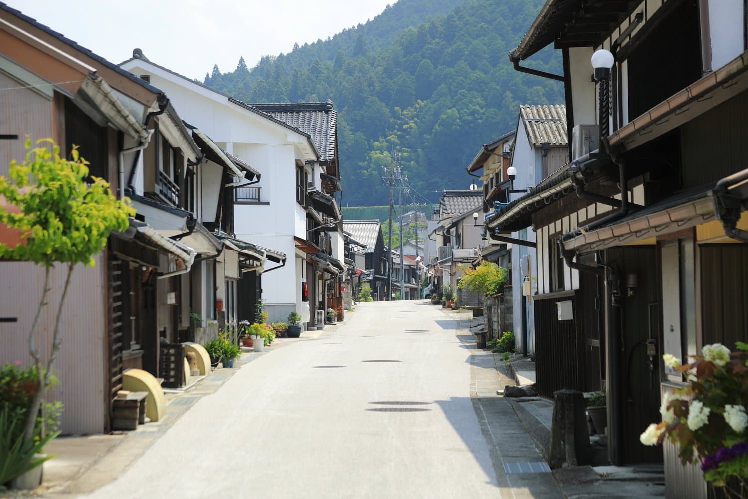 緑の山を背にした、木造と白壁の古い家が並ぶ静かな通り