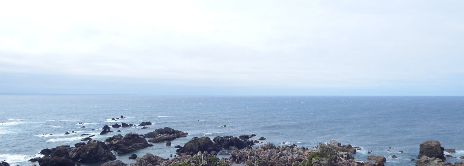 A rocky shore of jagged reefs and green scrub along the open sea, seen from above