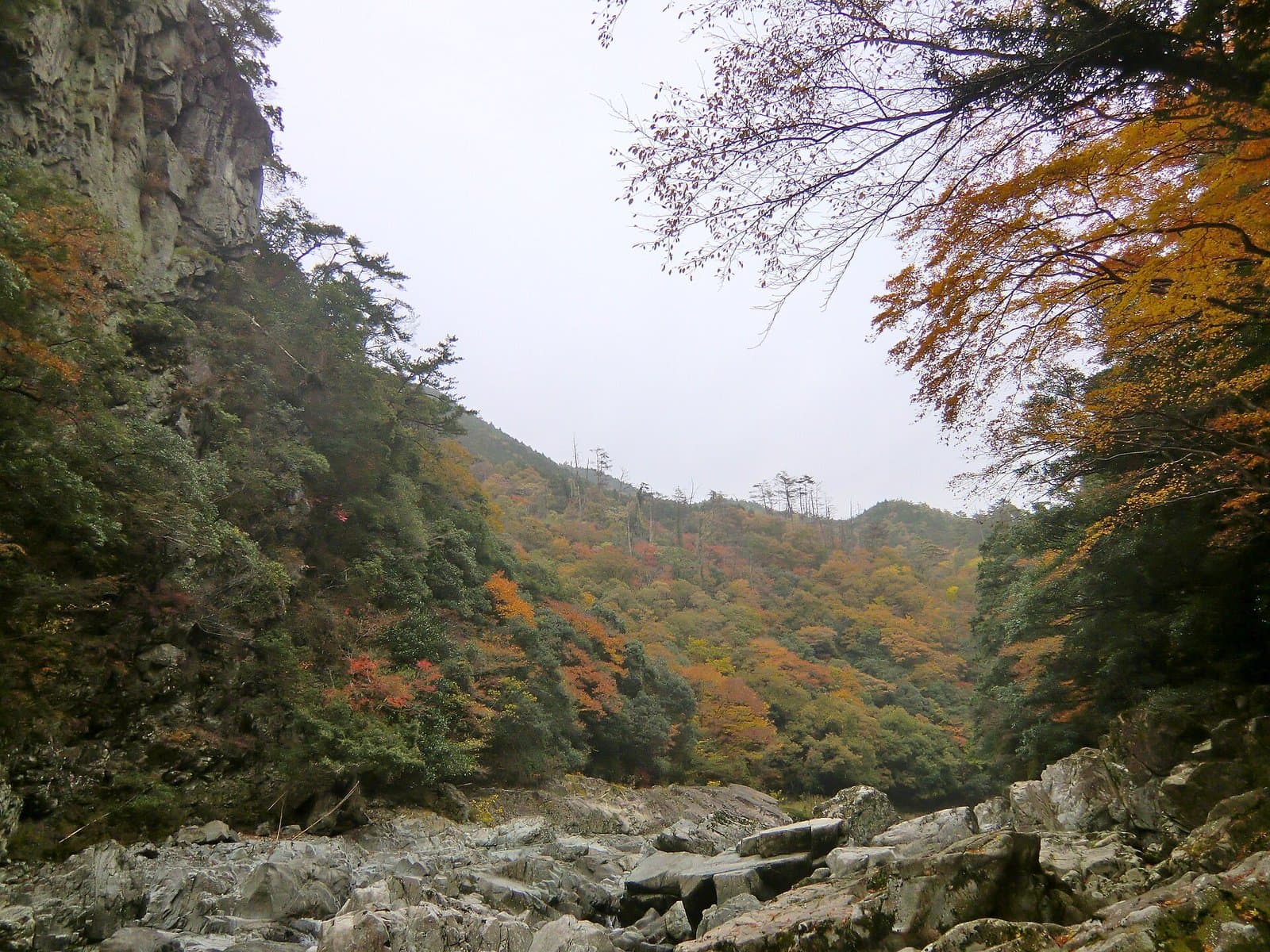 崖の下、色づいた木々の谷の岩の川原