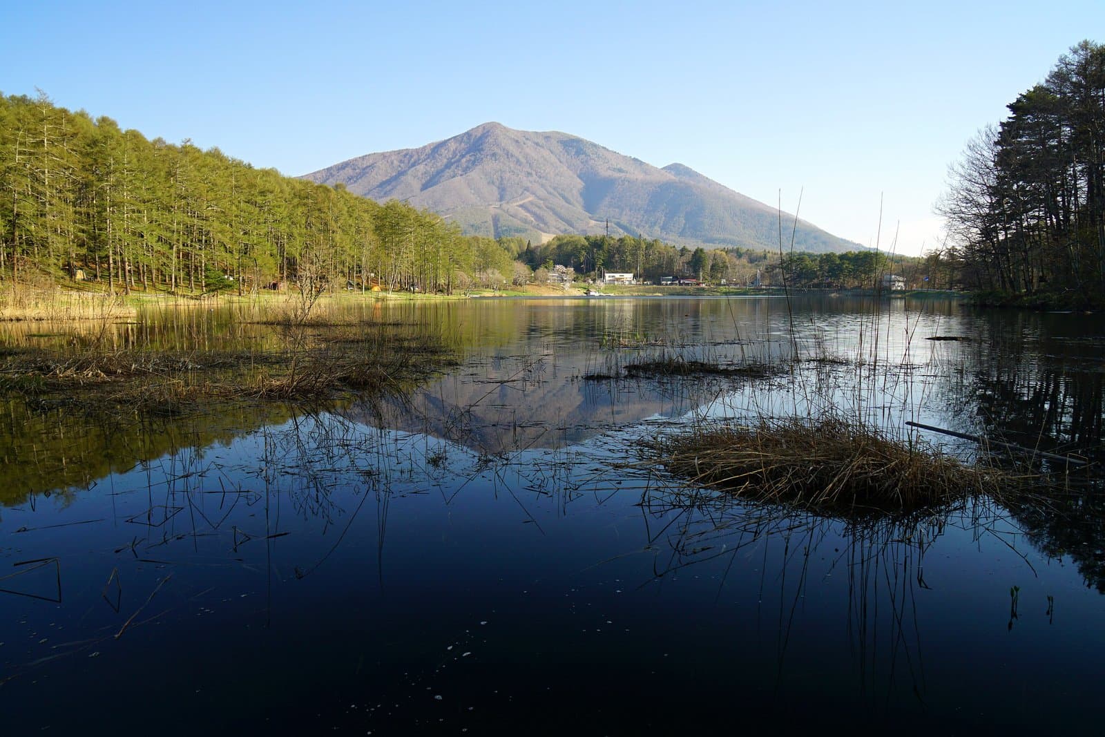 A calm pond reflecting a mountain and forest under a clear blue sky