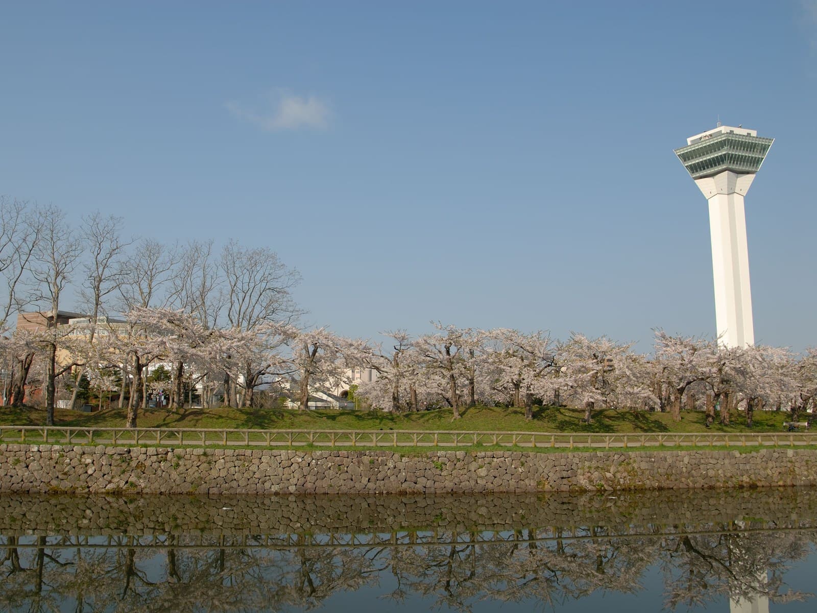 Goryokaku Tower rising behind cherry trees in bloom along the moat, reflected in the water
