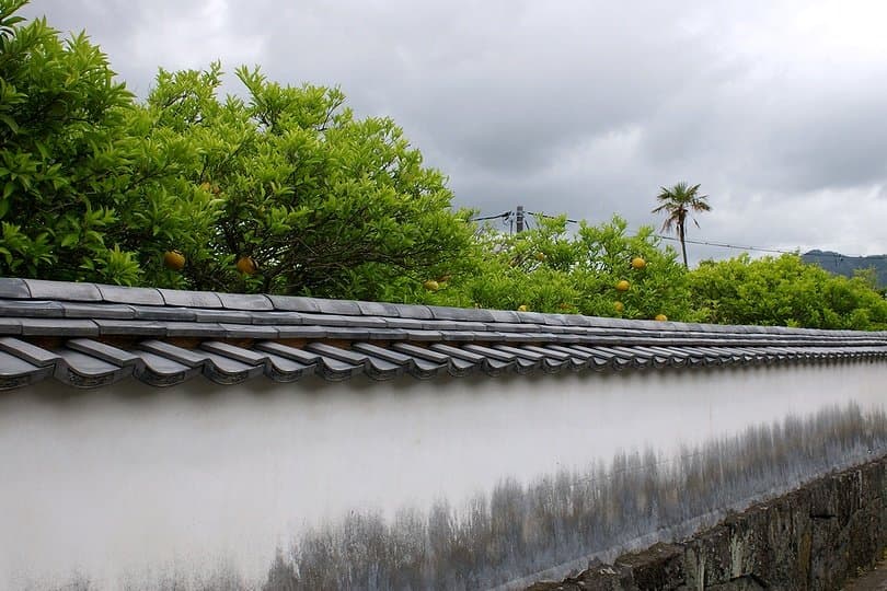 A long white earthen wall with a tiled top, with orange trees behind it