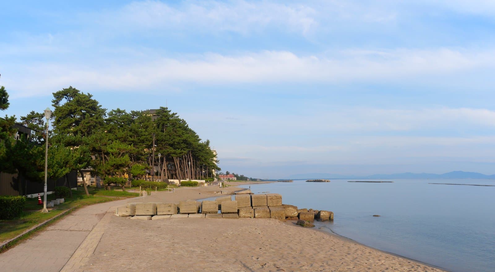 沙灘與成排的消波塊、松林,以及平靜的海面