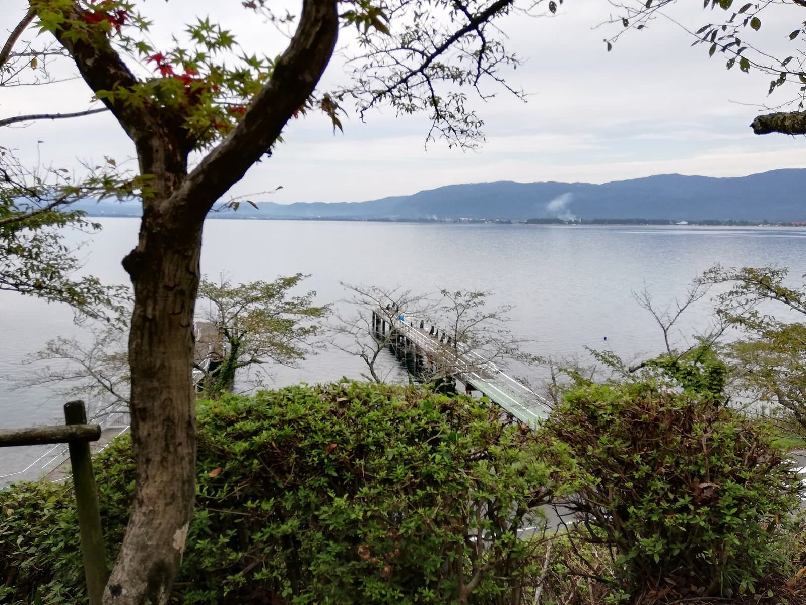 斜面の木々の間から見た、長い桟橋と奥の山々のある穏やかな湖