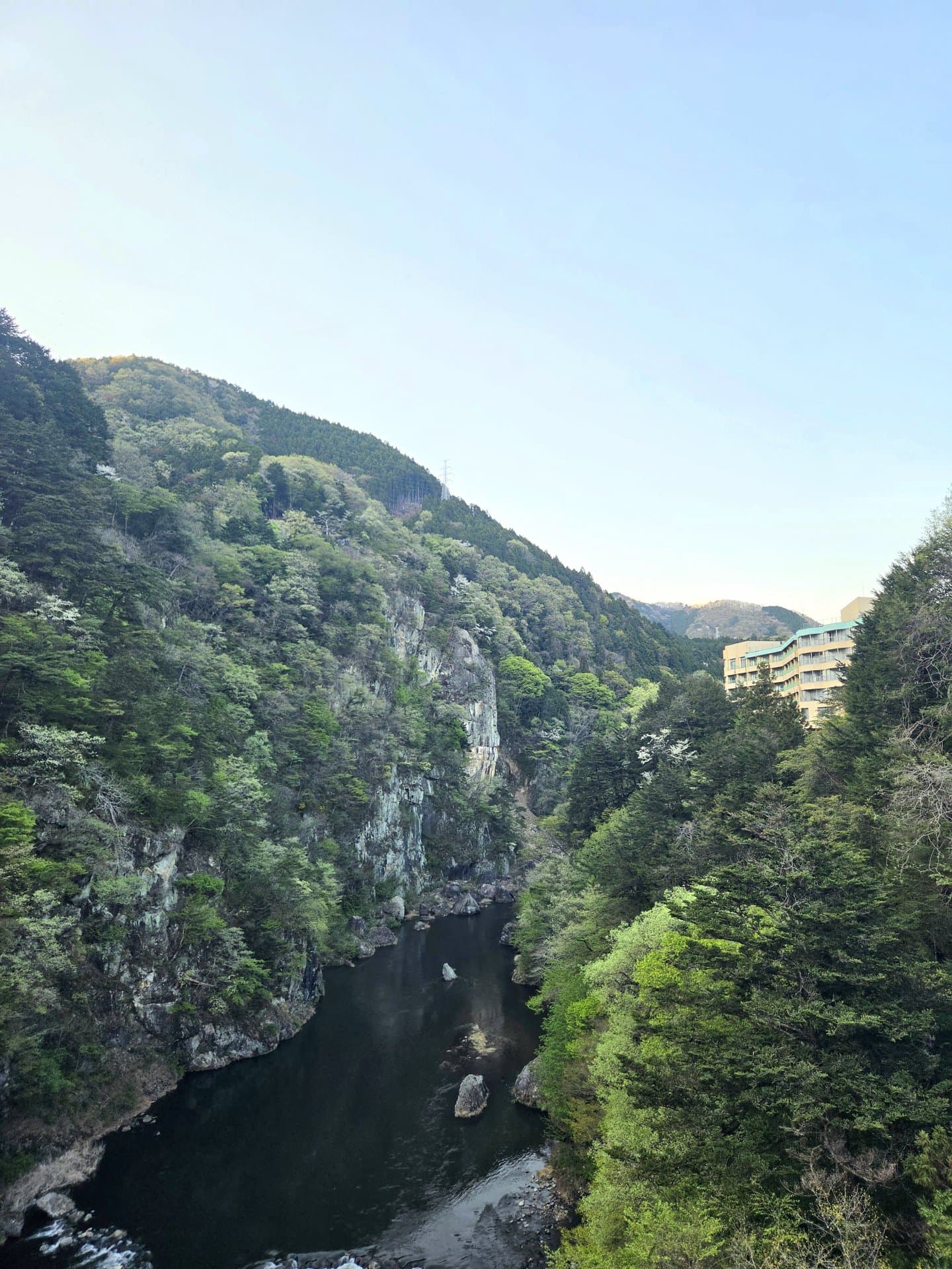 切り立った森の崖の間を流れる深い渓谷の川と、右の木々の奥のホテルの建物