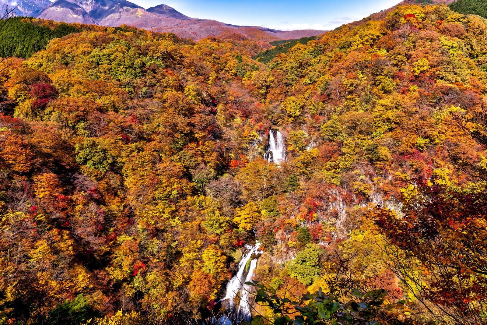 赤・橙・黄の紅葉に覆われた谷を流れ落ちる2段の滝