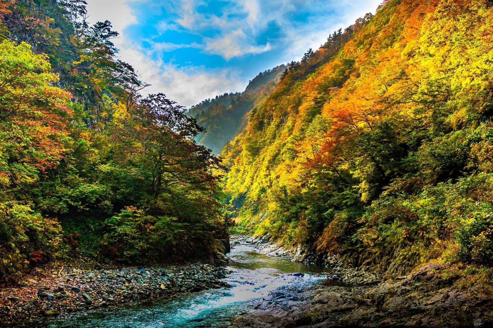 A clear river flowing through a steep gorge covered in autumn leaves