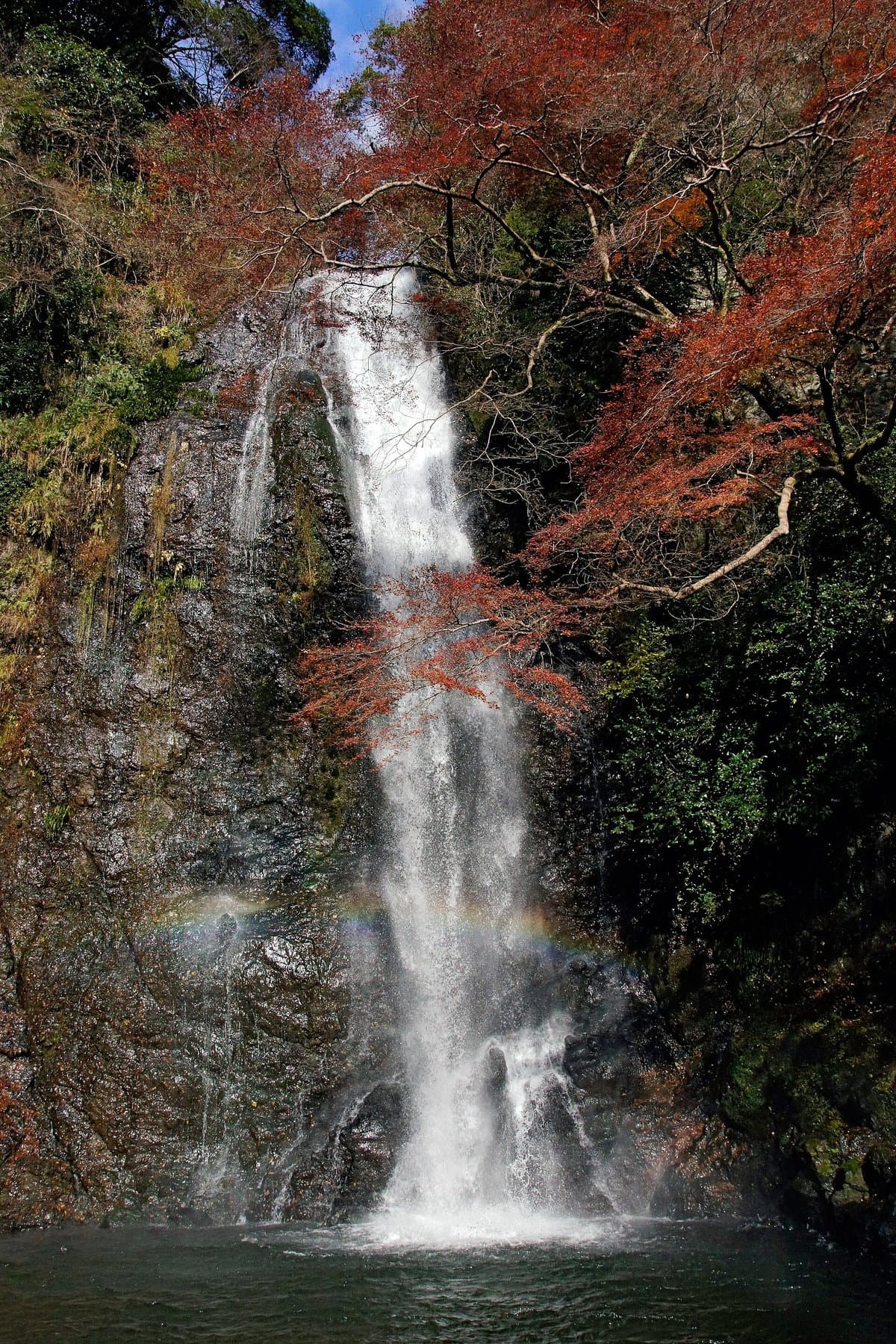 A tall white waterfall dropping down a dark rock face into a pool, framed by red autumn leaves