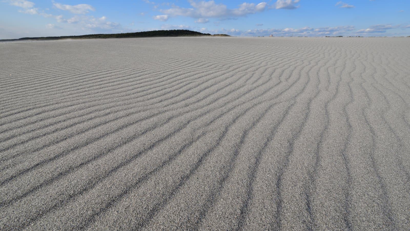 Wind ripples covering a wide expanse of sand under a blue sky