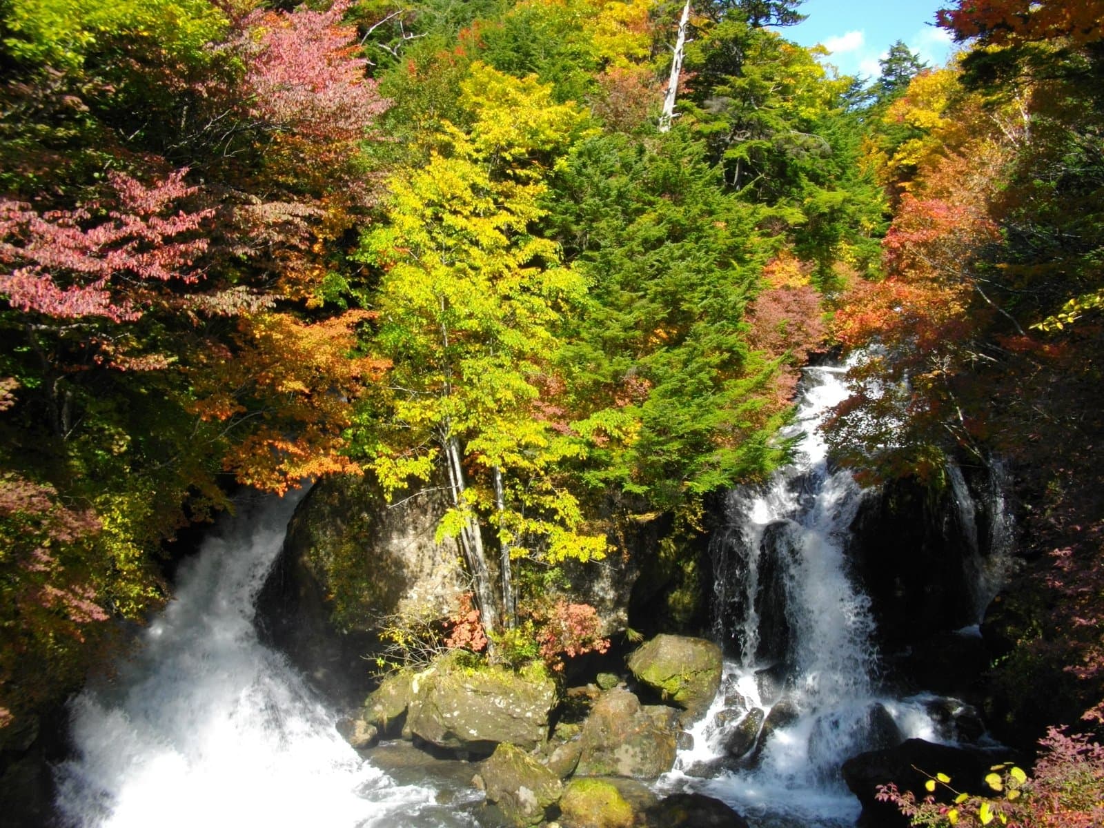 A waterfall splitting into two streams around a large rock among autumn trees