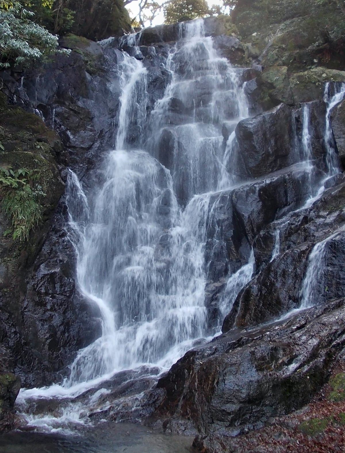 A waterfall spilling in white streams over dark rock among trees