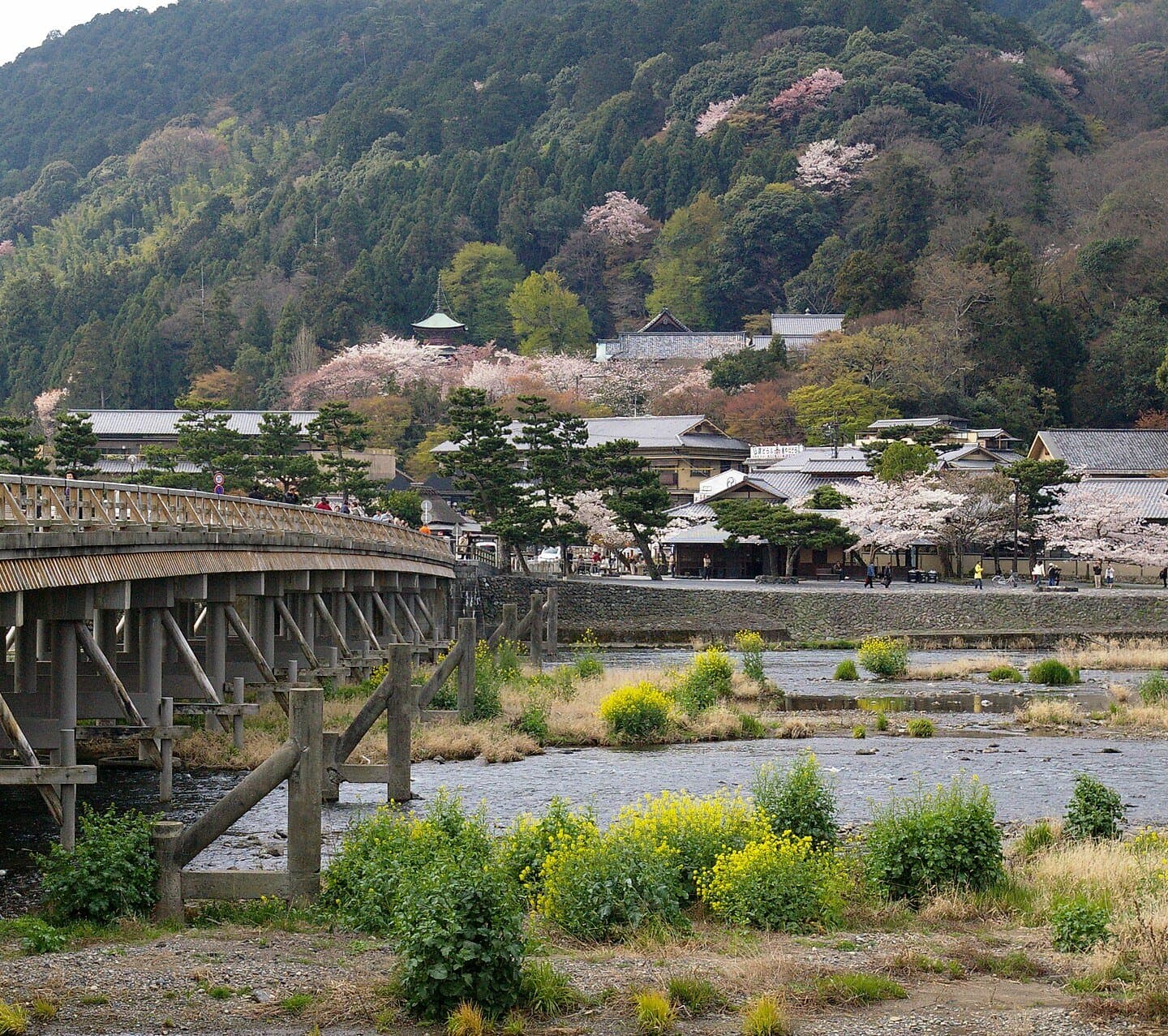 The long wooden-railed Togetsukyo bridge over a shallow river, with cherry blossoms and a forested mountain behind