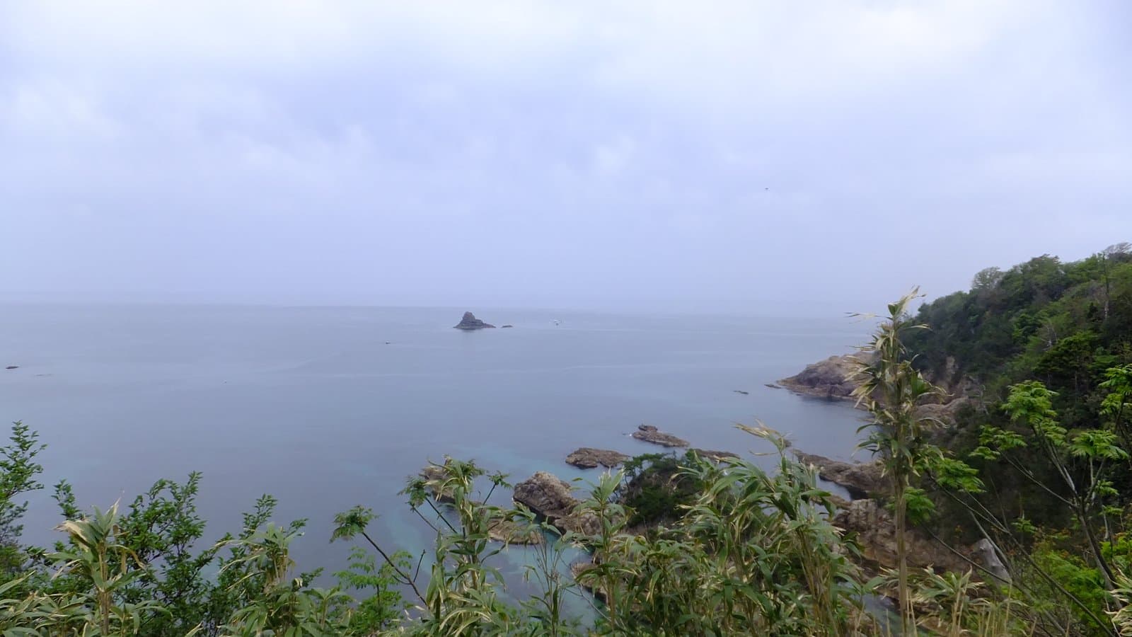 Rocks along a green shore and a small islet in a grey sea under clouds