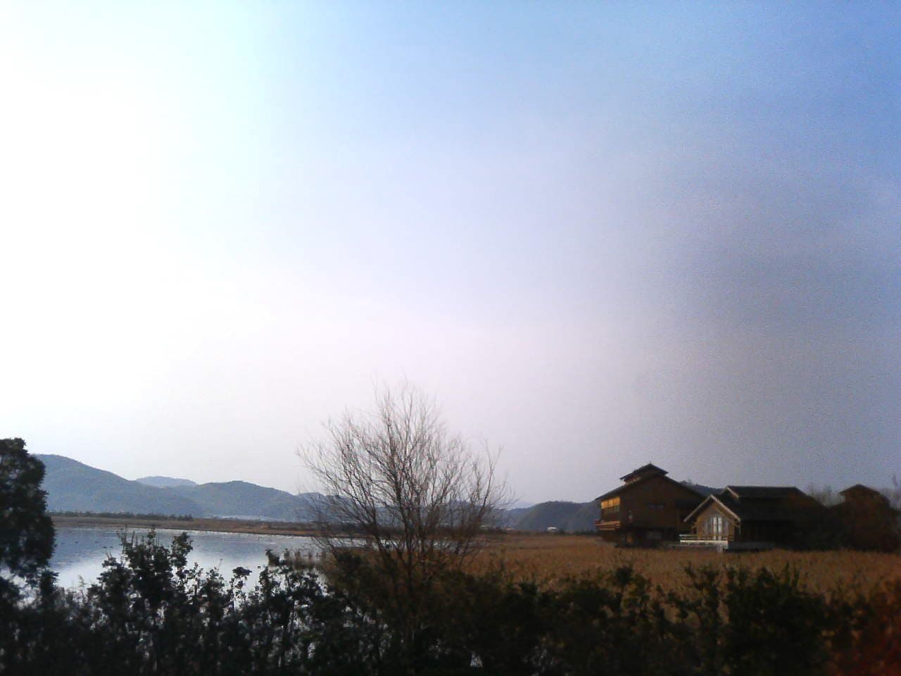 淡い空の下の、葦と木々のある湖岸と右の低い建物