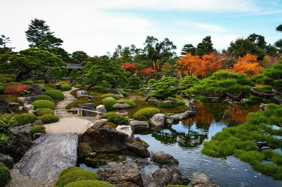 A Japanese garden with pines, red autumn trees, stepping stones and a pond